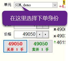 _images/view_insert_order_panel.png